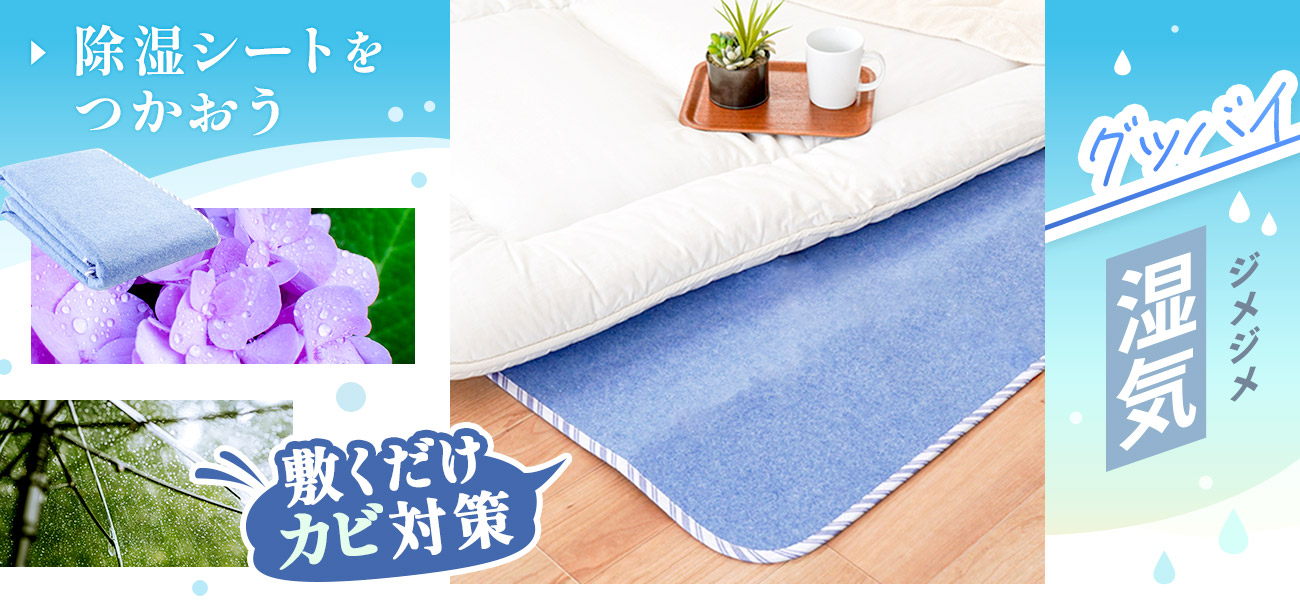 グッバイジメジメ湿気。敷くだけカビ対策！西川 サラネル 除湿シート