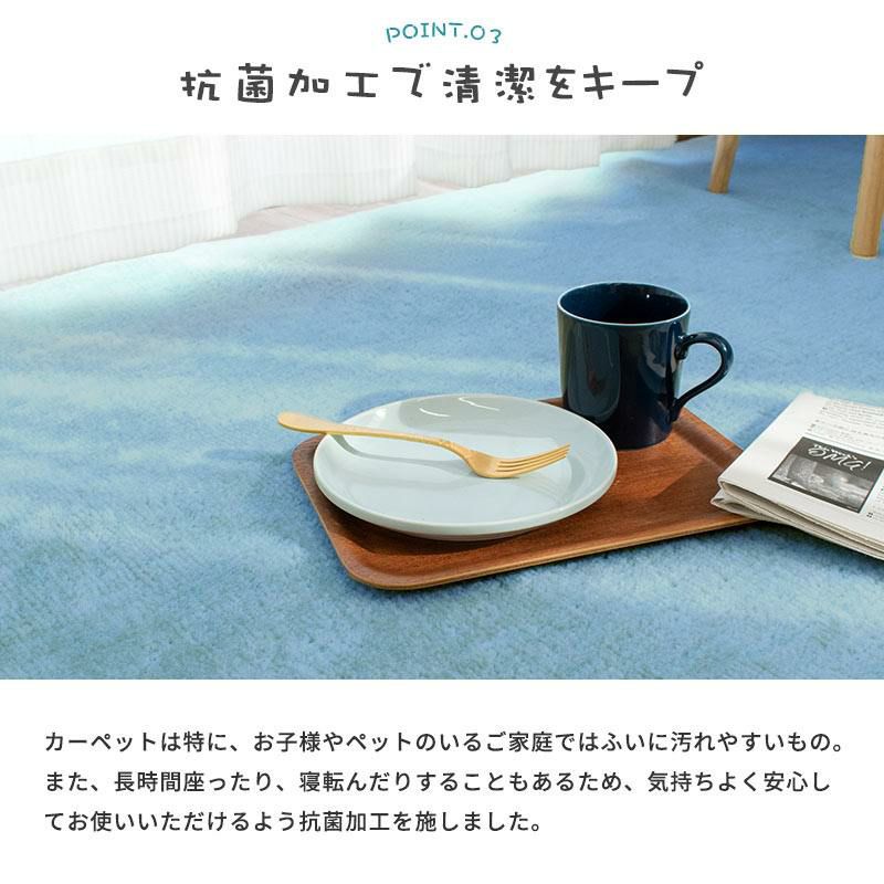タマズライフ ペットに優しい カーペット 3畳 176×261cm | ねごこち