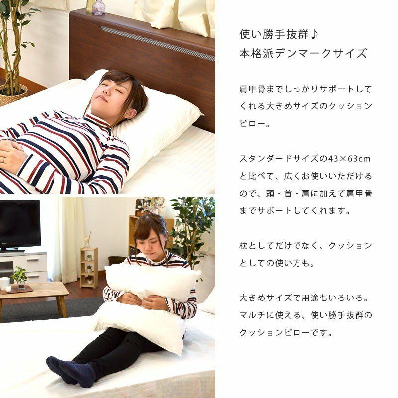 Fossflakes フォスフレイクス ウォッシャブル枕 クッションサイズ 60
