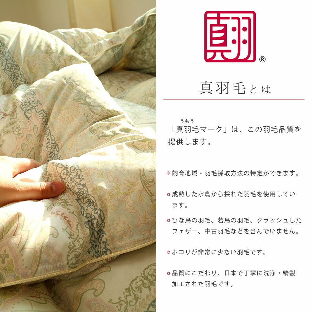 水鳥羽毛布団 フェザー90% 寝具 インテリア シミあり 河田フェザー フランス産 羽毛布団 ダック 90％ シングル｜ねごこち