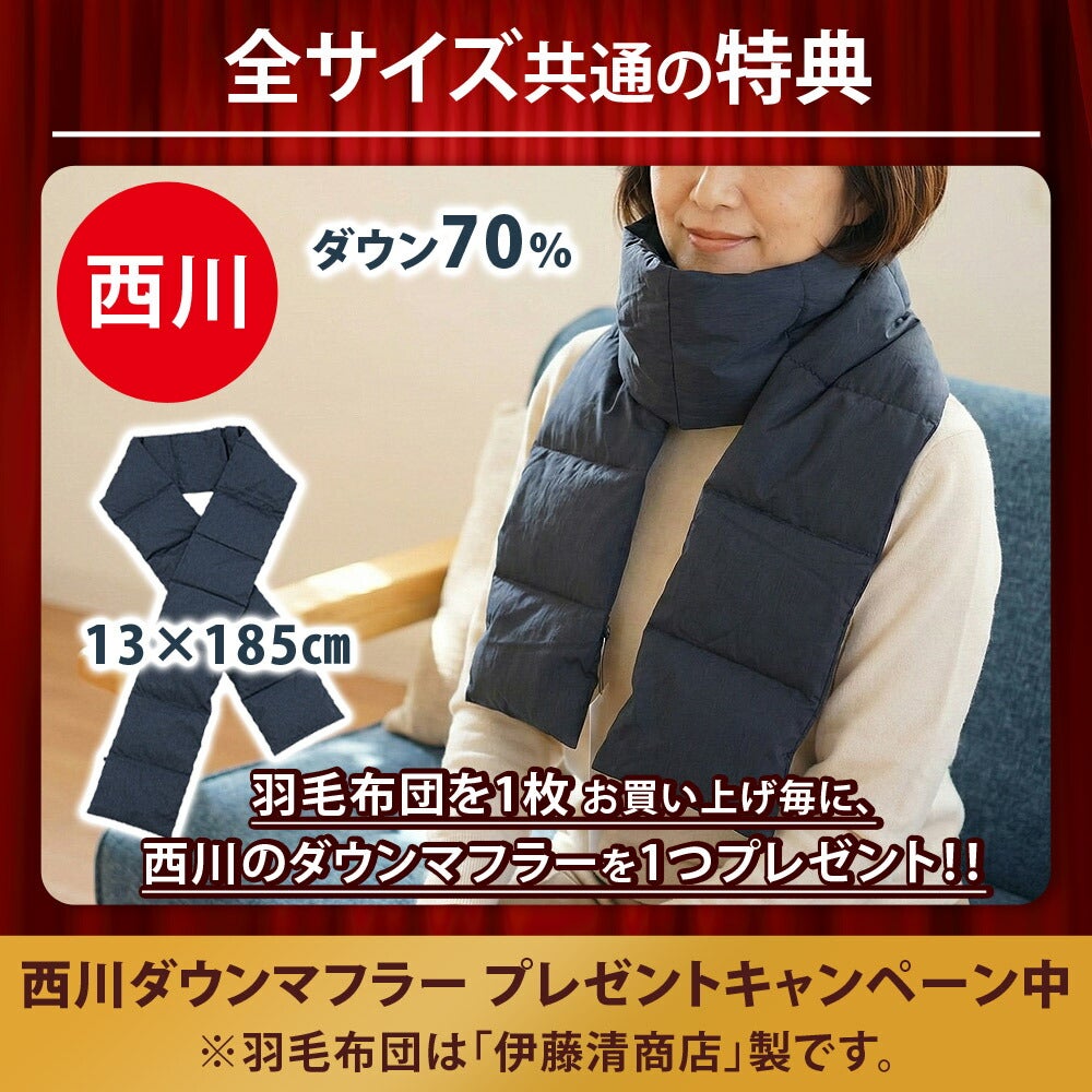 ダウン93% 超長綿二層キルト羽毛ふとん シングル13P ポーランド産 ダウン93% 羽毛布団 二層キルト 威風堂々 シングル【西川
