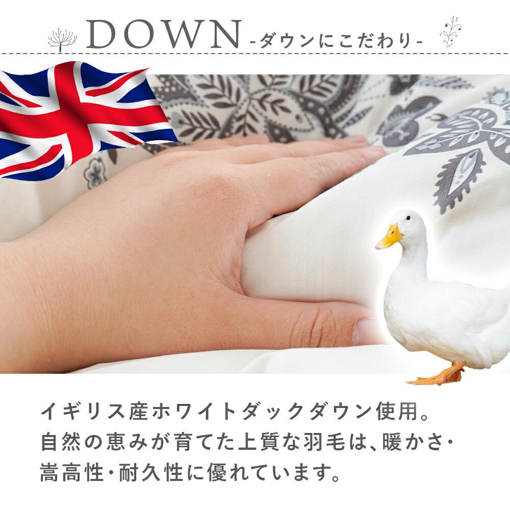 西川 夢の芽生える羽毛布団 芽羽 シングル イギリス産ダウン90% 日本製
