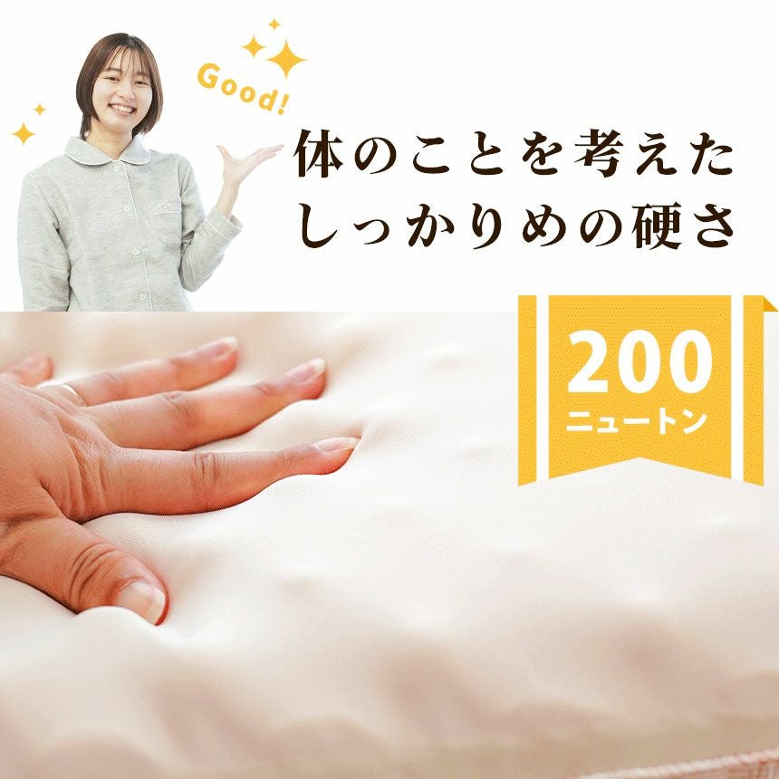 西川 安眠工房 点で支える 健康敷きふとん 一層タイプ 三つ折り
