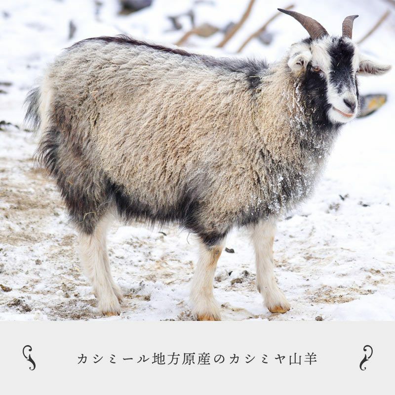 完売】カシミヤ毛布 シングル 140×200cm 軽量 調湿 日本製 ニッケ | ね