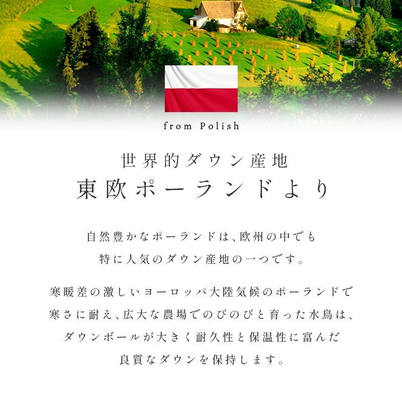 羽毛布団 2枚合わせ ポーランド産 グース ダウン93％ 超長綿 60サテン