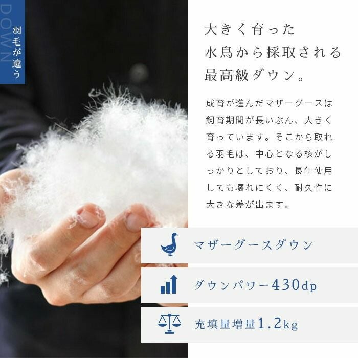 西川 シベリア産 マザーグース ダウン93% シングル 【カバー付】 | ね