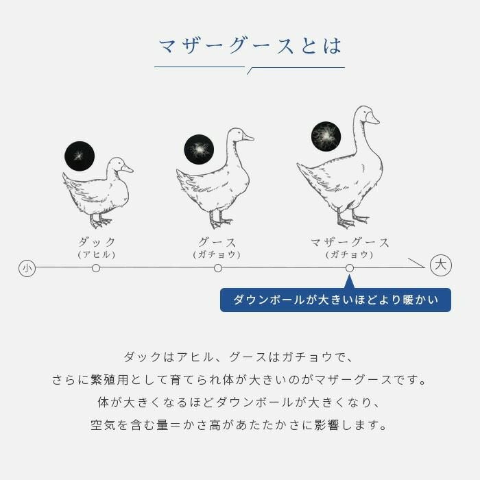 西川 シベリア産 マザーグース ダウン93% シングル 【カバー付】 | ね