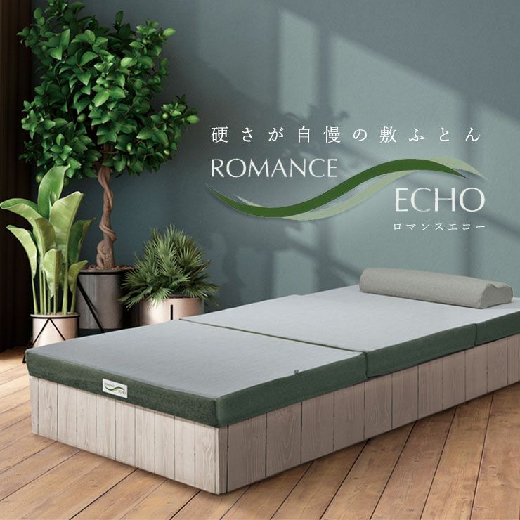 ロマンス小杉 マットレス ダブル 140×205×厚み9cm ロマンスエコー | ね