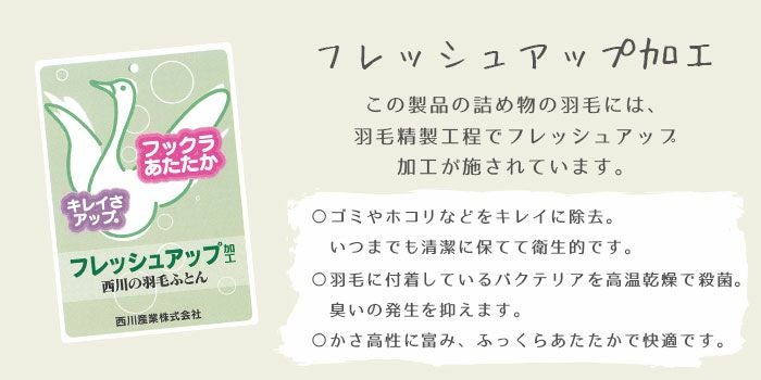 完売】東京西川 Golden night 布団3点セット 羽毛+合繊の2層掛け布団