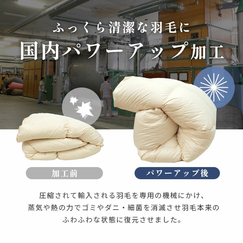 京都羽毛 ハンガリー産 ホワイトダックダウン90% 羽毛布団 シングル 超
