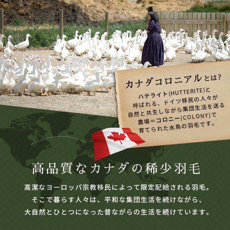 京都羽毛 カナダ産 マザーグース ダウン95% 羽毛布団 シングルロング