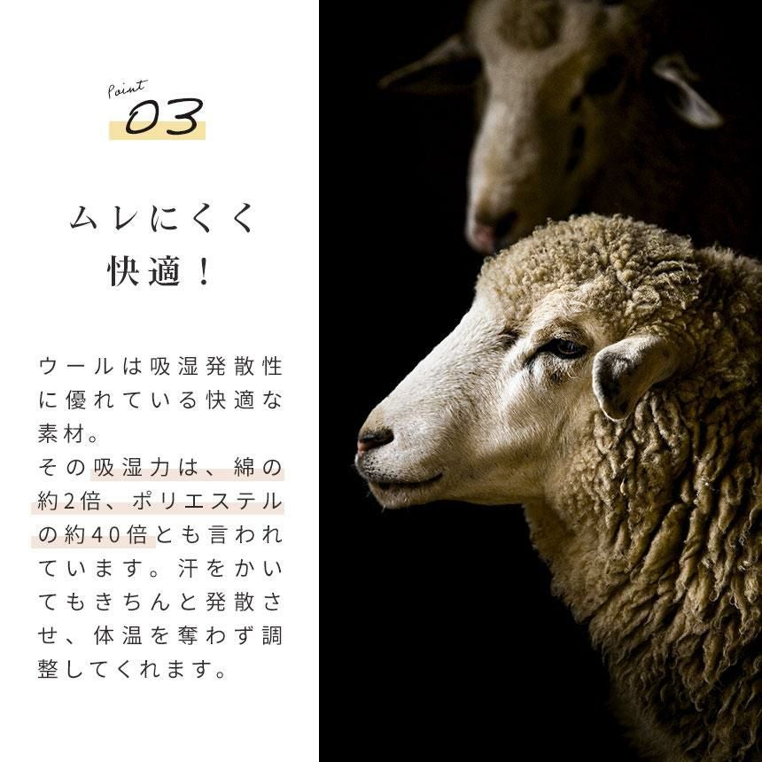 西川 泉大津産 ウール毛布 シングル 140×200cm | ねごこち本舗【公式】