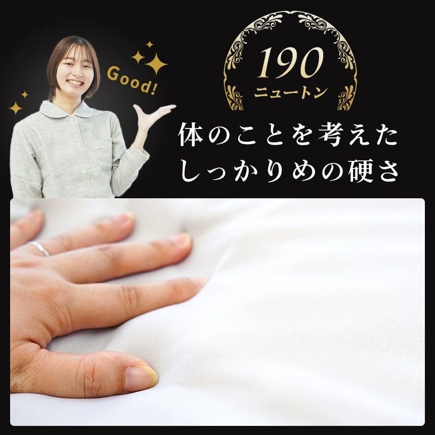 西川 安眠工房 点で支える 健康敷きふとん 三層タイプ 三つ折り