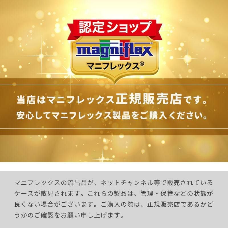 マニフレックス サステナブルウイング 三つ折りマットレス 折りたたみ マニフレックス サステナブルウイング 三つ折りマットレス 折りたたみ