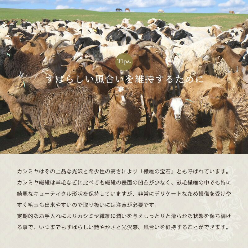 西川 カシミヤ 毛布 シングル 泉大津 140×200cm