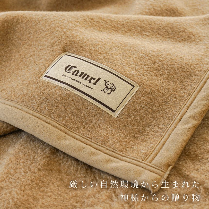 キャメル 毛布 日本製 シングル 140×200cm | ねごこち本舗【公式】
