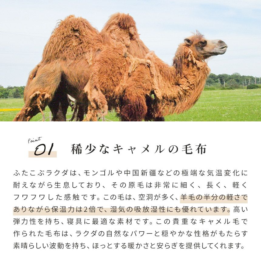 キャメル 毛布 日本製 シングル 140×200cm | ねごこち本舗【公式】