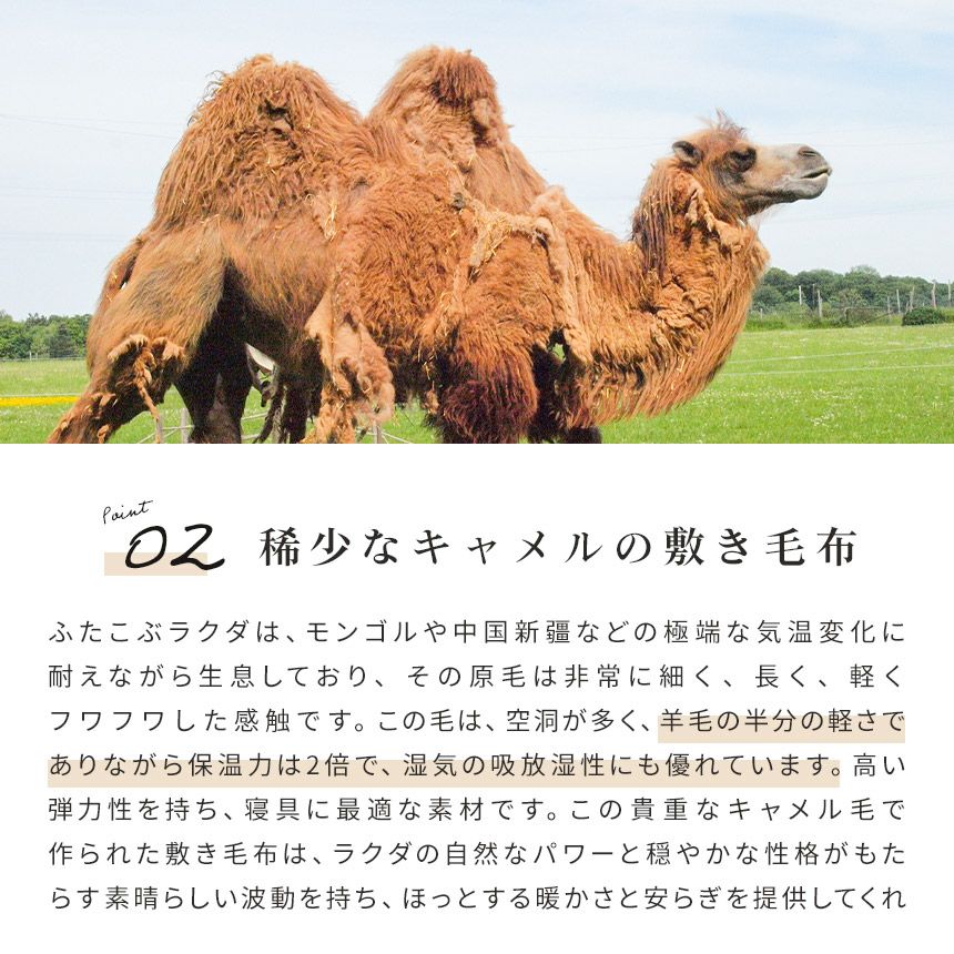 キャメル 敷きパッド 日本製 シングル 100×205cm | ねごこち本舗【公式】