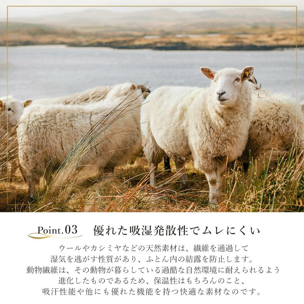 西川 ウール & カシミヤ 毛布 シングル ブランケット 日本製 | ね