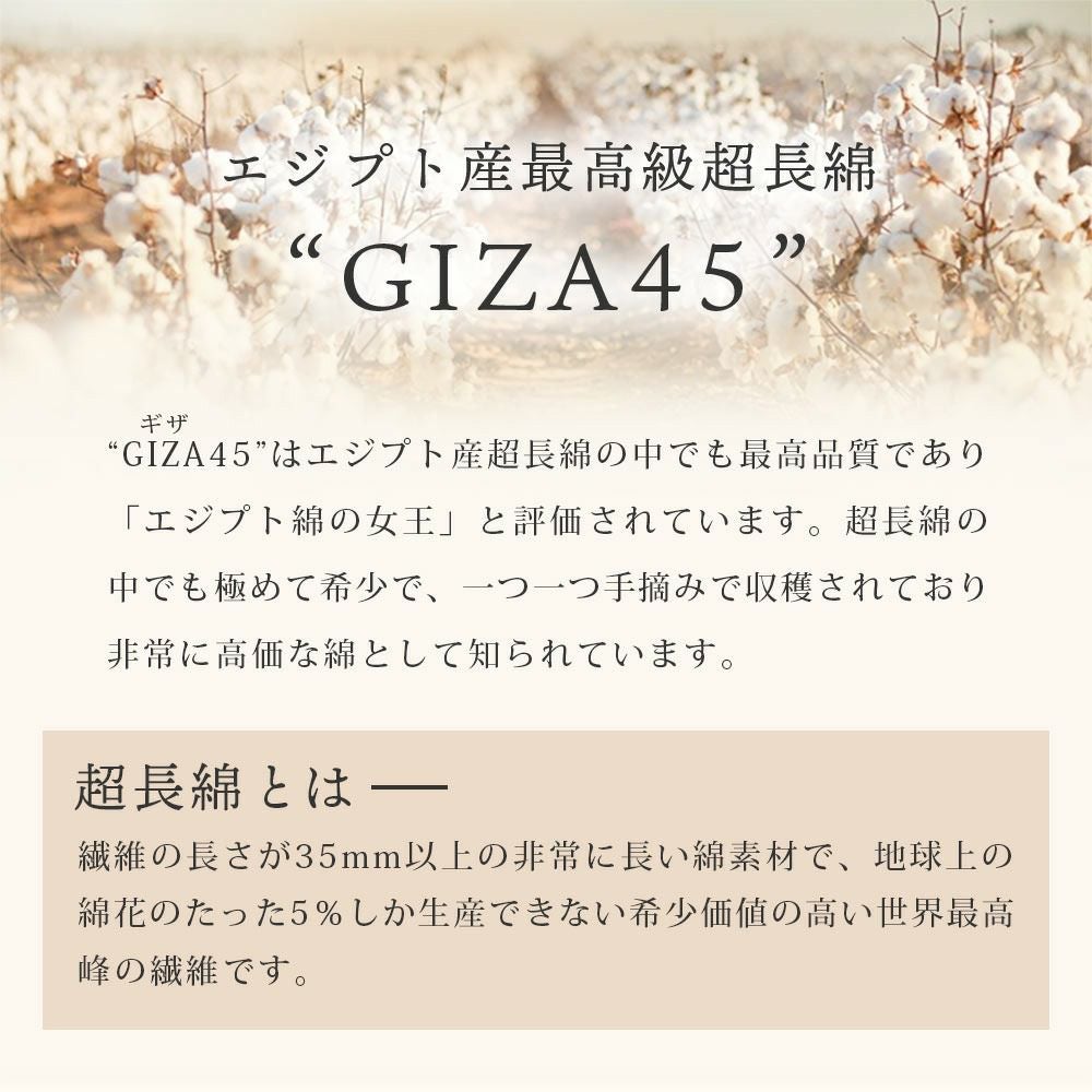 西川のフェイスタオル（サンダーソン）プレゼント】 エジプト綿 GIZA45