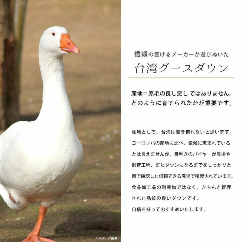水鳥羽毛100%　毛布セット 羽毛布団 二層式 シングル マザーグースダウン 95％ 1.2kg ポーランド