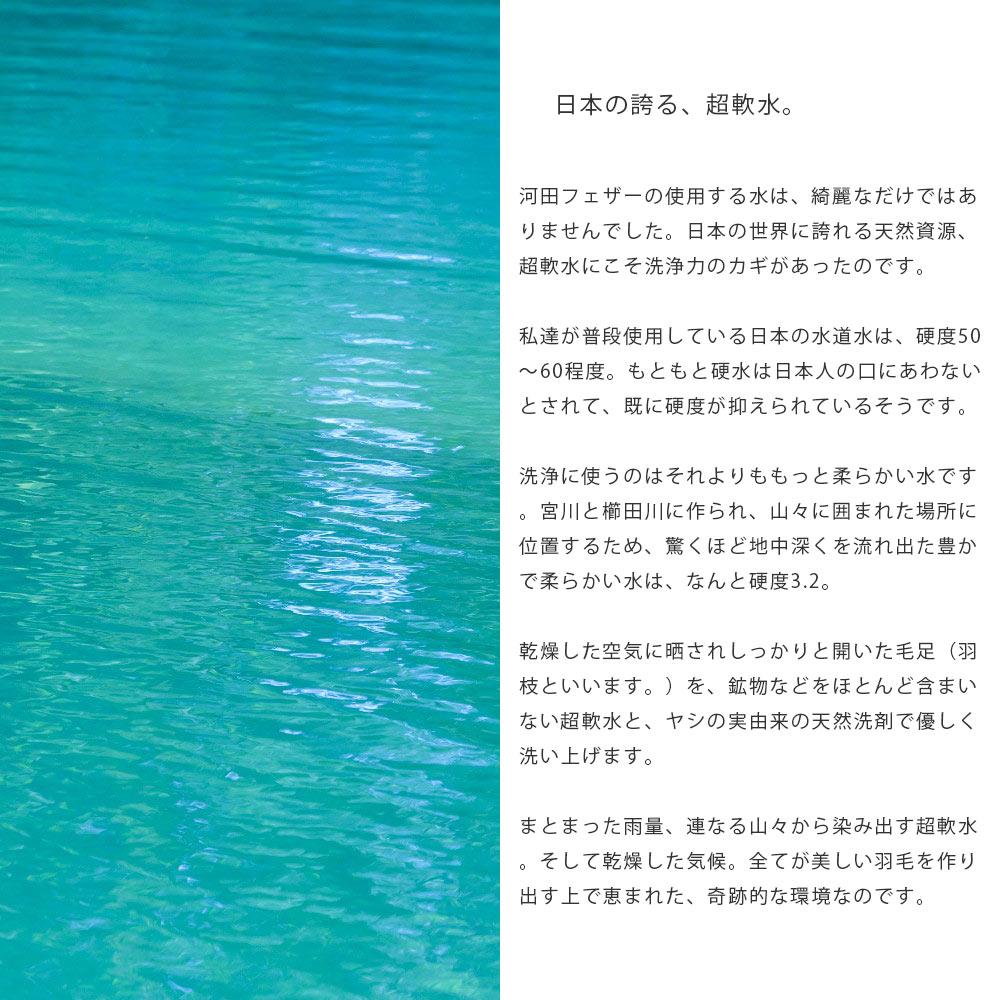 羽毛の臭い 洗浄力 SEK抗菌防臭加工 清潔な羽毛布団