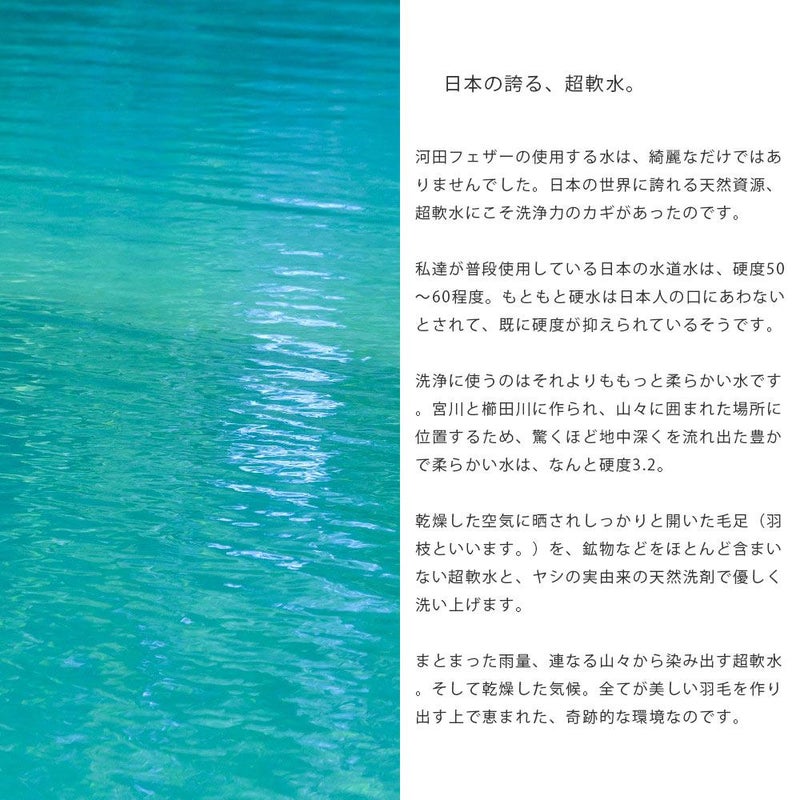 羽毛の臭い 洗浄力 SEK抗菌防臭加工 清潔な羽毛布団