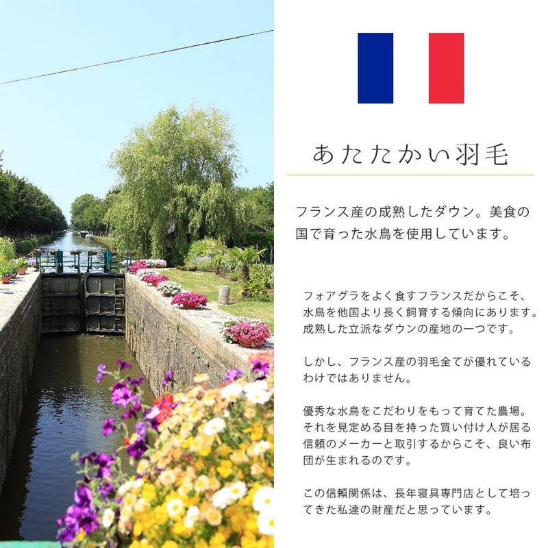 フランス産ホワイトダックダウン 成熟ダウン 嵩高 羽毛布団