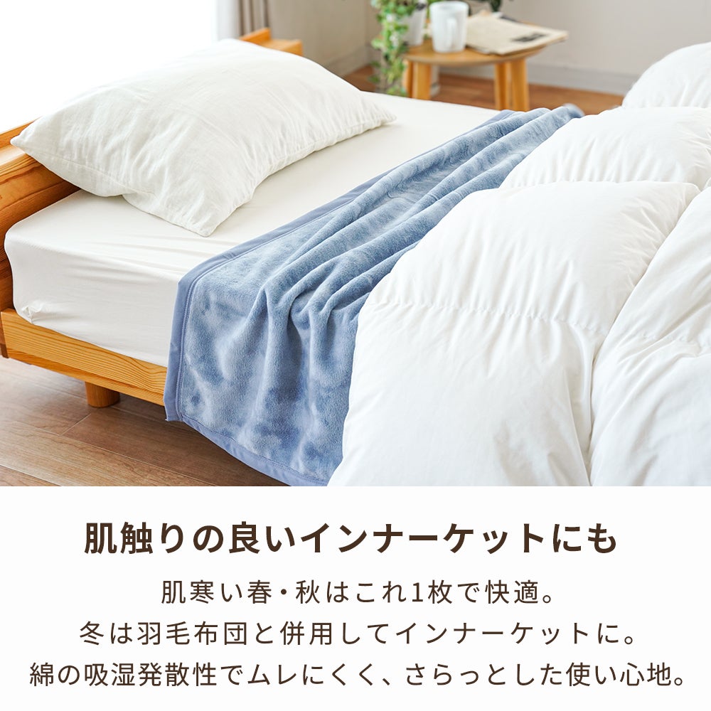 訳あり 綿毛布 シングル 国産コットン100% 日本製 泉大津産 洗える