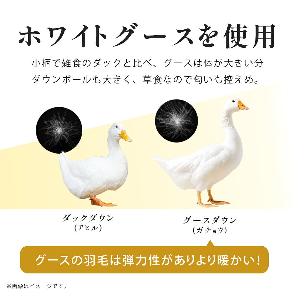 羽毛布団 シングルロング 日本製 ポーランド産グース93% 1.0kg
