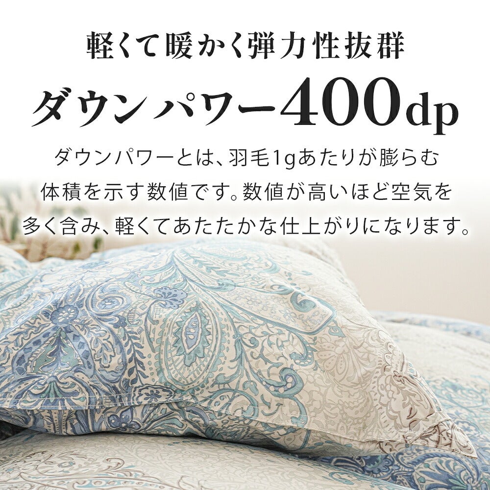 羽毛布団 シングルロング 日本製 ポーランド産グース93% 1.0kg