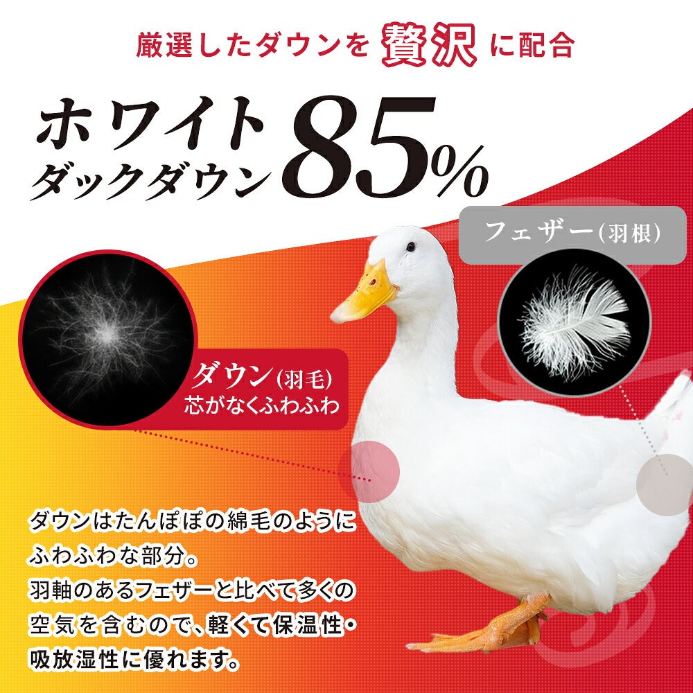 厳選したダウンを贅沢に配合 ホワイトダックダウン85％ ダウンとフェザーの違いを示す白いアヒルの解説図