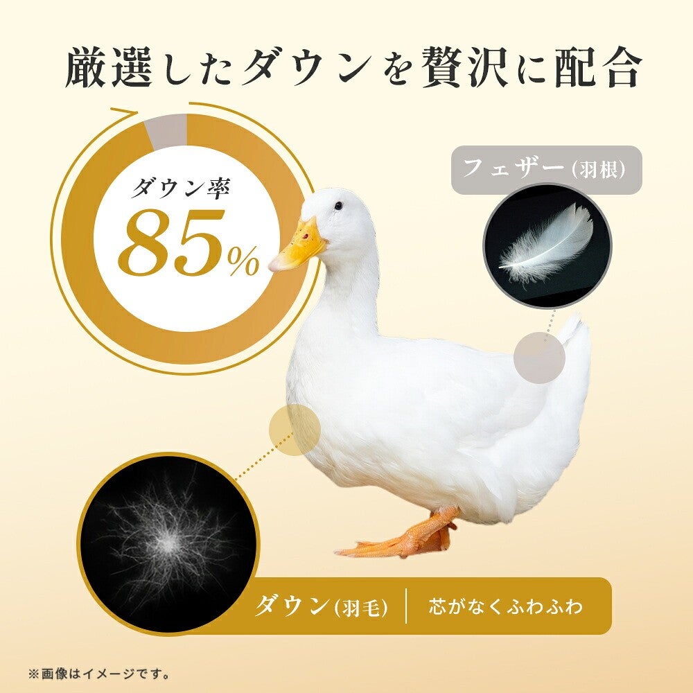 厳選したダウンを贅沢に配合。ダウン率85％、芯がなくふわふわのダウンとフェザーの比較