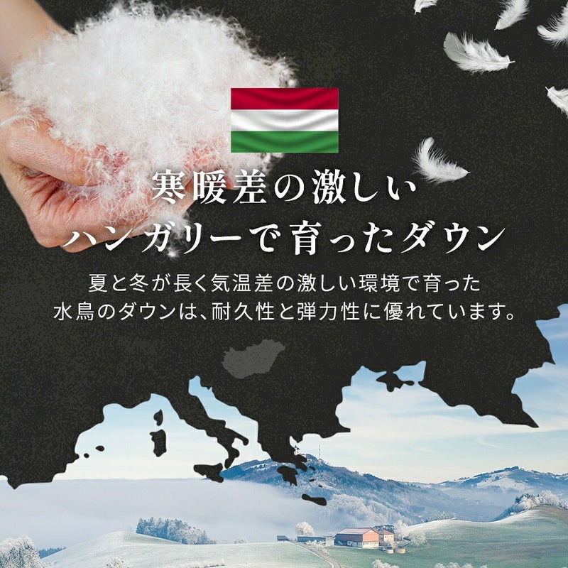 寒暖差の激しいハンガリーで育ったダウン。耐久性と弾力性に優れた水鳥のダウン