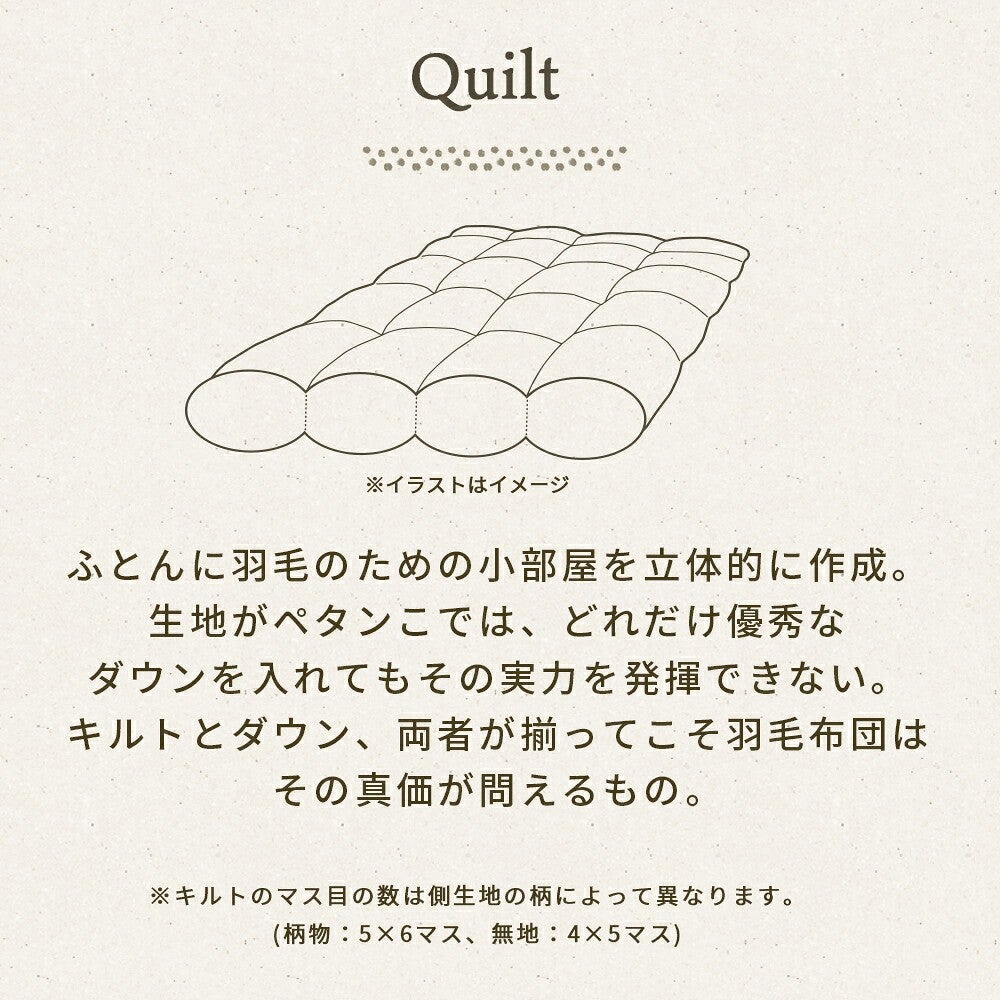 Down 羽毛布団に使われる「羽毛」の解説。ダウンを85％配合した布団はしっかりと空気を含んで暖かい
