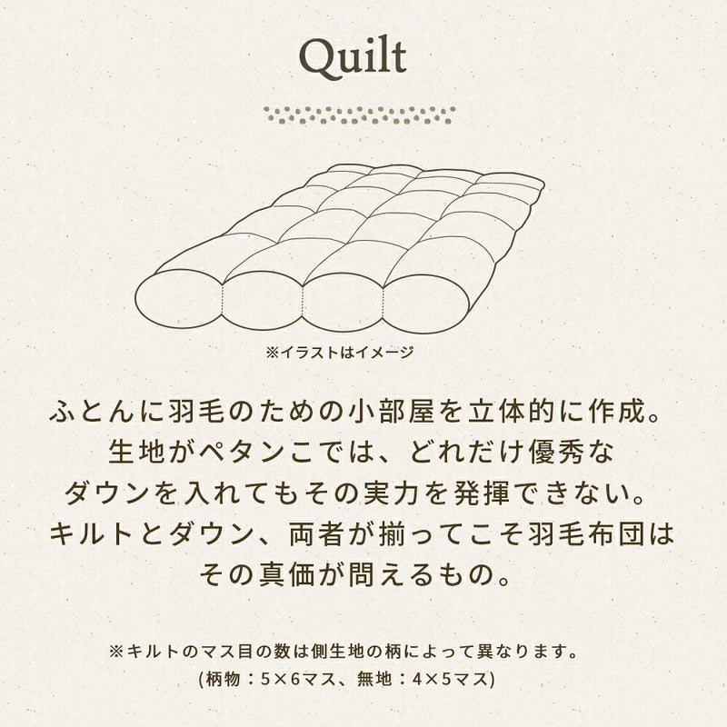 Down 羽毛布団に使われる「羽毛」の解説。ダウンを85％配合した布団はしっかりと空気を含んで暖かい