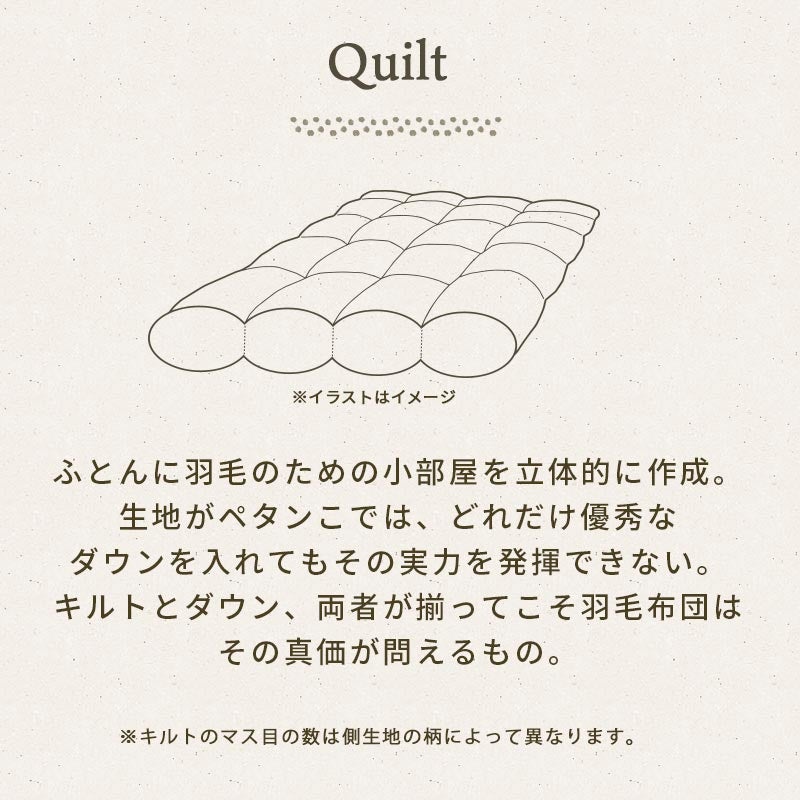 Down 羽毛布団に使われる「羽毛」の解説。ダウンを85％配合した布団はしっかりと空気を含んで暖かい