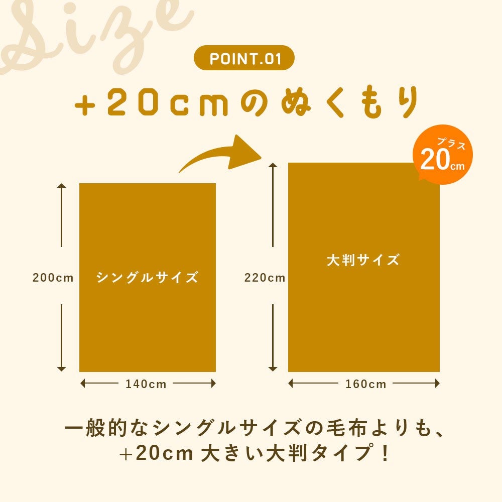 POINT01 +20cmのぬくもり。一般的なシングルサイズ140×200cmより大きい160×220cmの大判タイプ