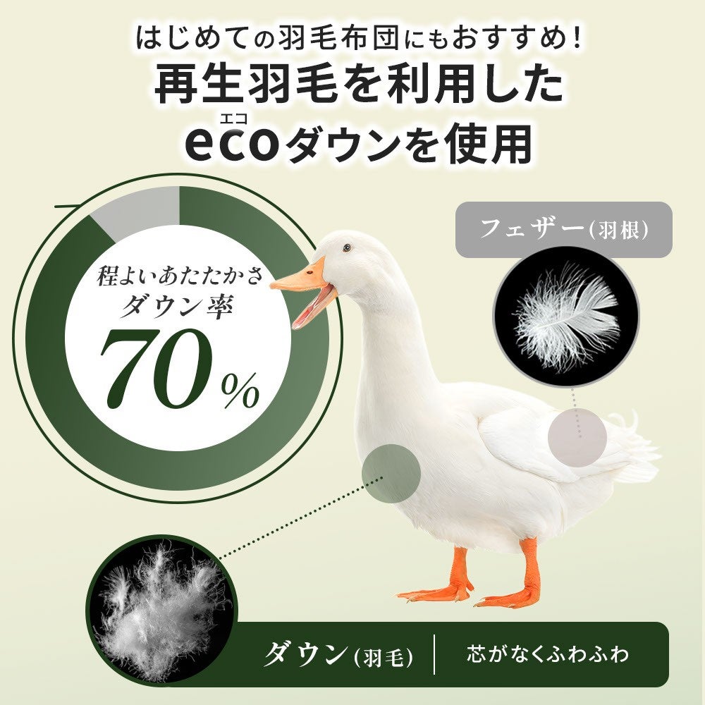 はじめての羽毛布団にもおすすめ。再生羽毛を利用したecoダウンを使用、ダウン率70％
