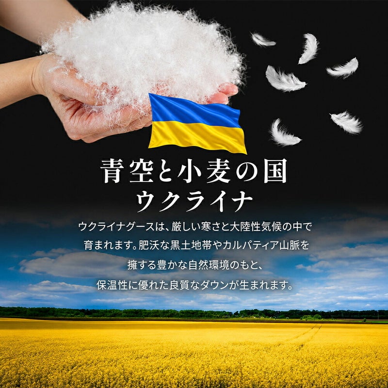 青空と小麦の国ウクライナ ダウン産地紹介