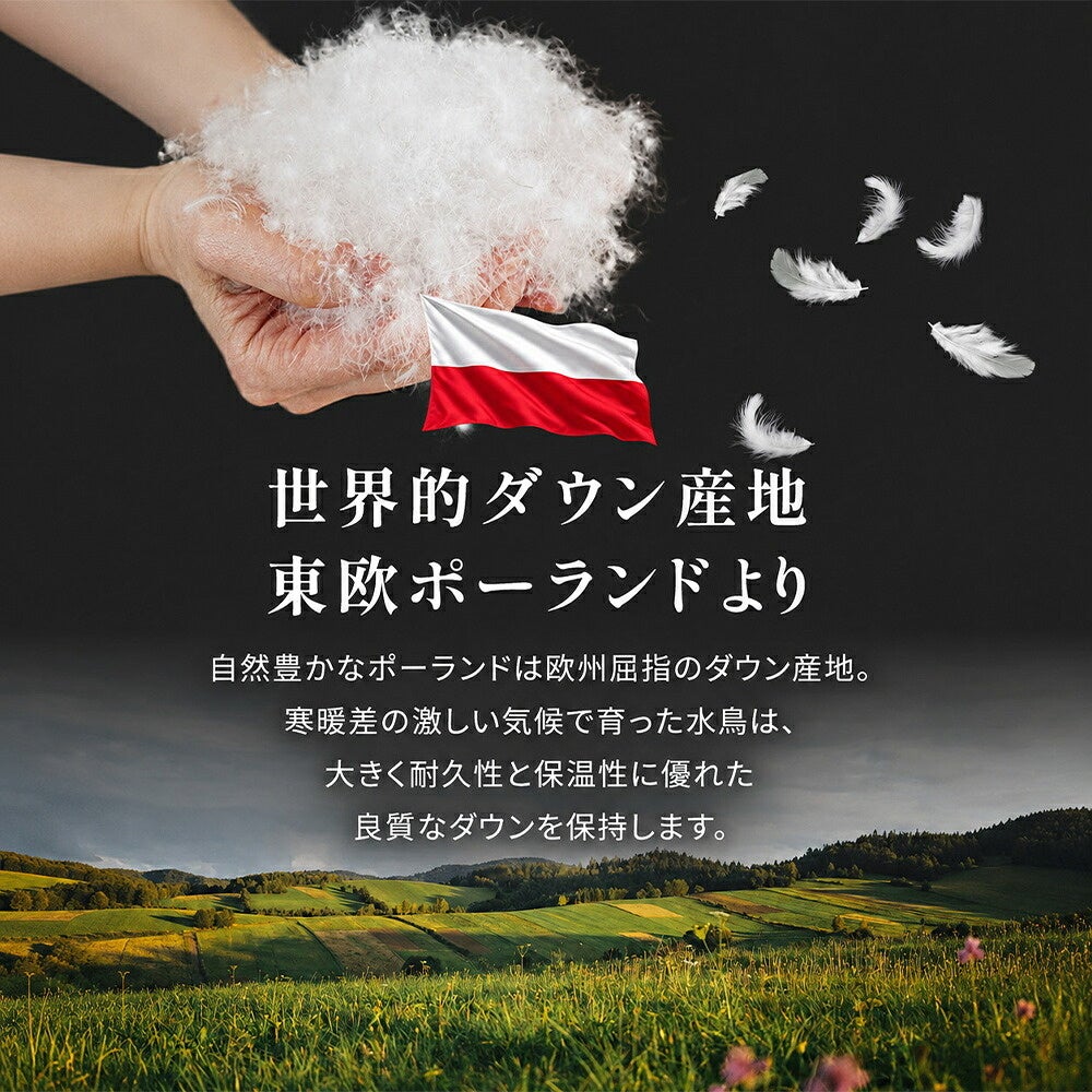 世界的ダウン産地 東欧ポーランドより ダウン産地紹介
