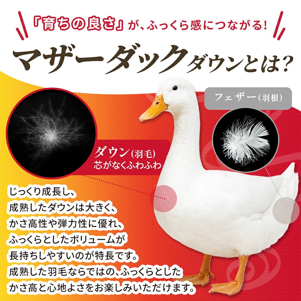 「育ちの良さ」がふっくら感につながる マザーホワイトダックダウン93%