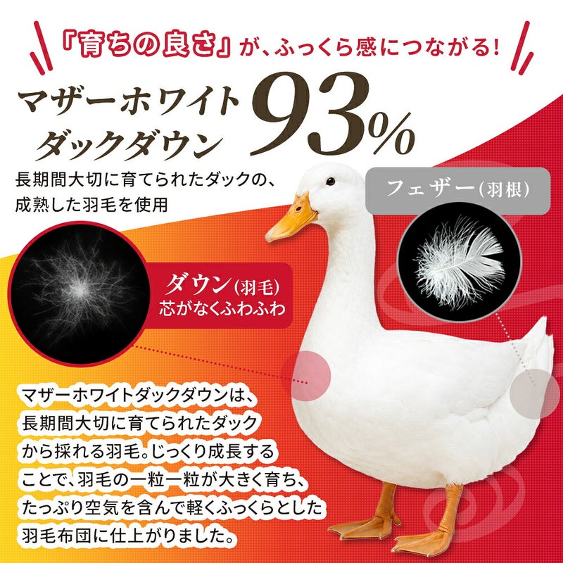 「育ちの良さ」がふっくら感につながる マザーホワイトダックダウン93%