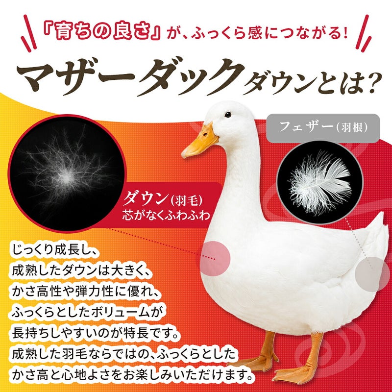 「育ちの良さ」がふっくら感につながる マザーホワイトダックダウン93%