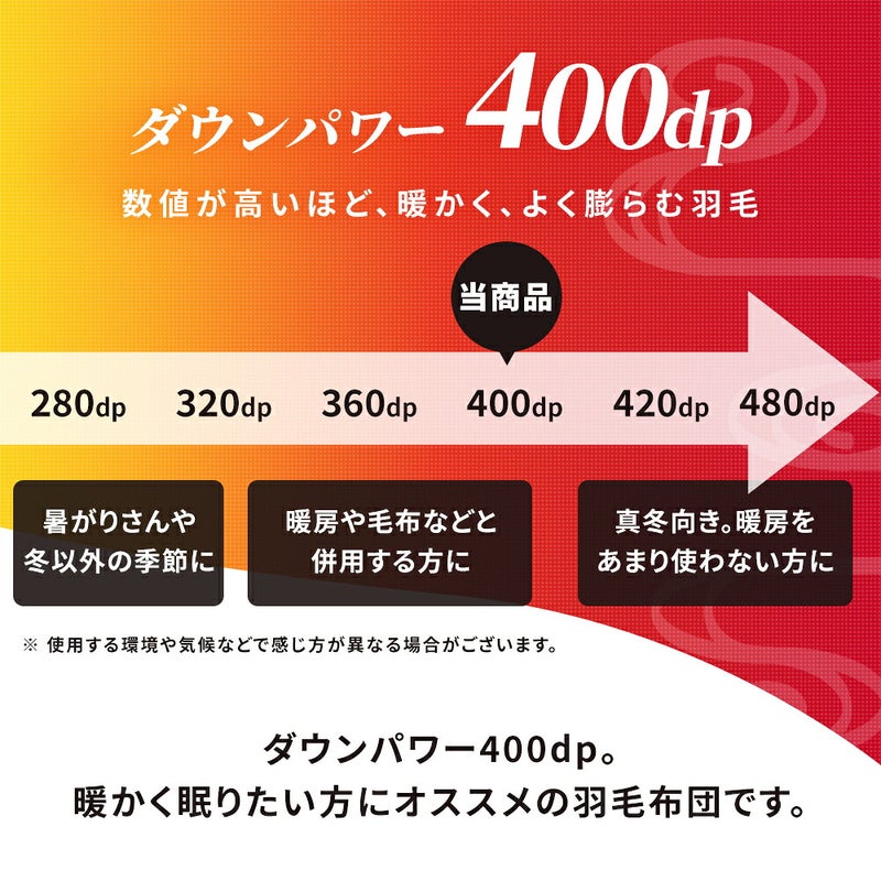 ダウンパワー400dp 暖かく眠りたい方におすすめ